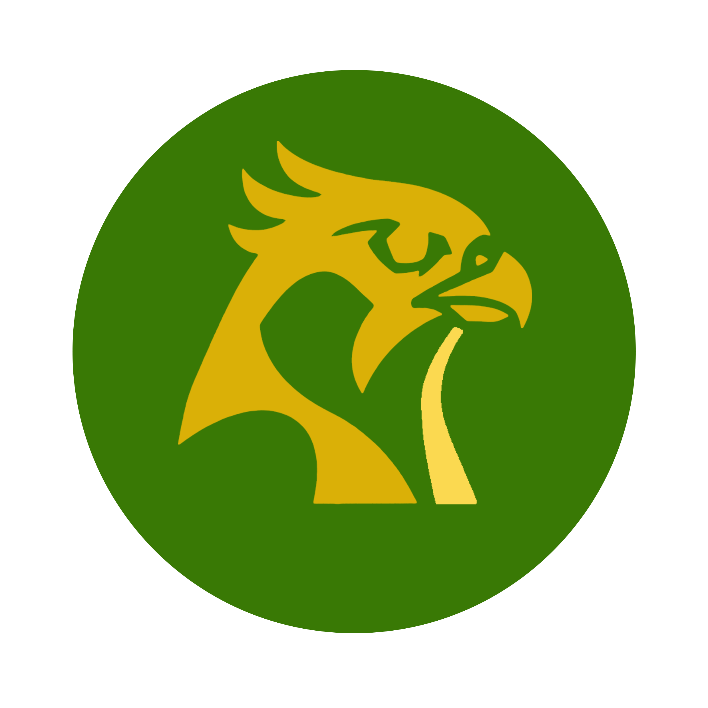 Icône application